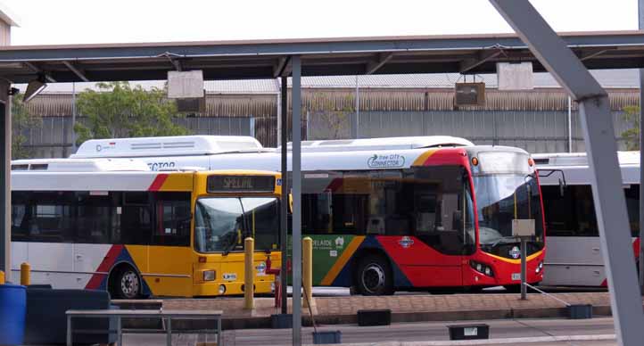 Adelaide Metro Alexander Dennis Enviro350H Custom CB80